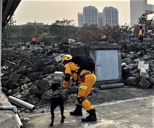 竹市搜救量能再精進! 消防局搜救犬赴參加IRO評量再獲認證肯定