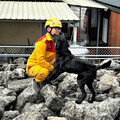 竹市搜救量能再精進! 消防局搜救犬赴參加IRO評量再獲認證肯定