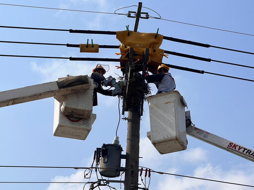 春雷驚蟄到！台電新營區處宣誓守護電網穩定供電決心