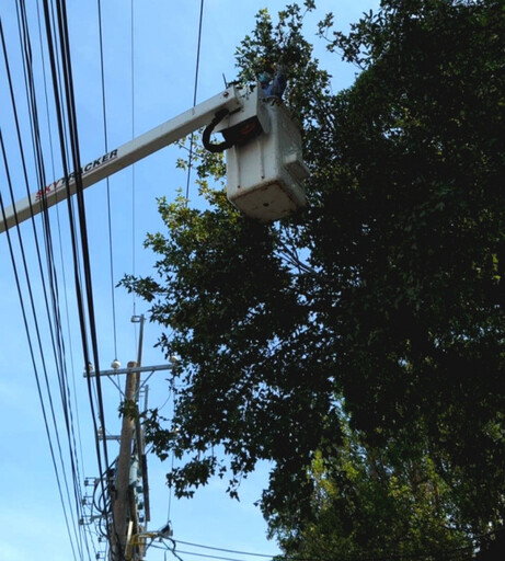 春雷驚蟄宣誓！台電台南區處穩定供電再升級