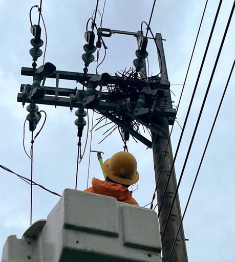 春雷驚蟄宣誓！台電台南區處穩定供電再升級