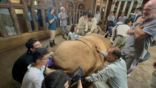 國內外逾百人與會 長頸鹿與有蹄類動物醫療照護工作坊3/15報名截止