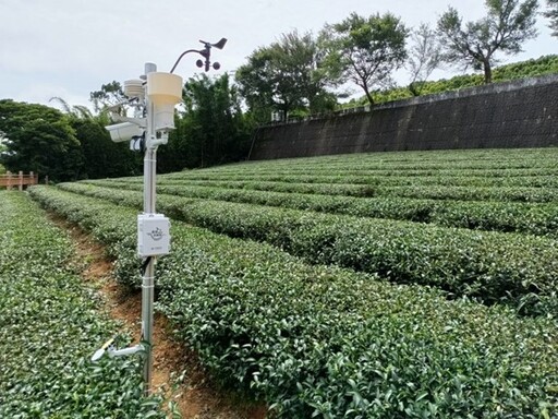 桃園復興上巴陵降雪 智慧農業防災平台超前部署預警防寒害