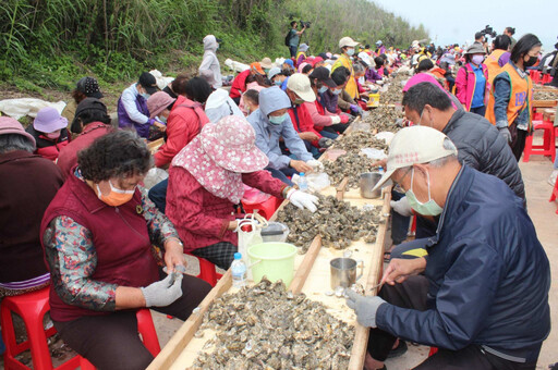 金寧鄉石蚵文化季「超頂！千人剝蚵大挑戰」4/12最嗨的海味登場