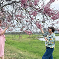 中華醫大師生開心迎後花園 仁德滯洪池旁花旗木步道賞花正對時