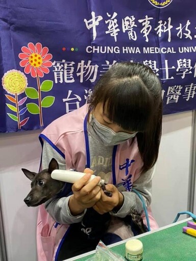 中華醫大寵護系攜手產官學全台最大戶外寵物主題市集-搖尾草狗狗派對
