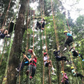 森林夏日學習之旅 東眼山自教中心暑期營隊熱烈招生國內外多元行程