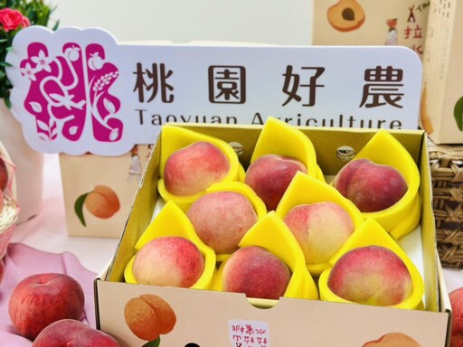 媽媽樂桃桃、好農Go Go購 桃市力邀13位優秀女力行銷母親月媽媽桃