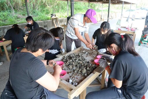 金寧石蚵文化季潮間探趣 採蚵小健將1日體驗蚵農之旅