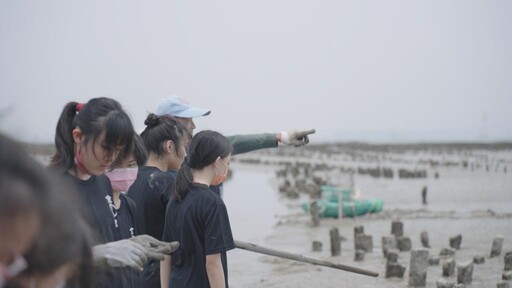 金寧石蚵文化季潮間探趣 採蚵小健將1日體驗蚵農之旅