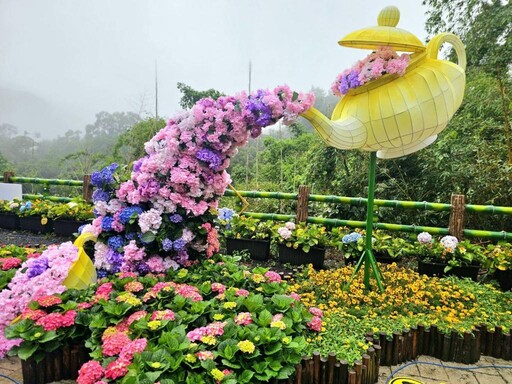 「花現台七」繡球金針農遊趣 台七線之旅一覽繡球花及金針花海之美