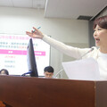 喊話在野黨「台電撥補必須過」 立法委員陳亭妃：鬥爭不應犧牲民生