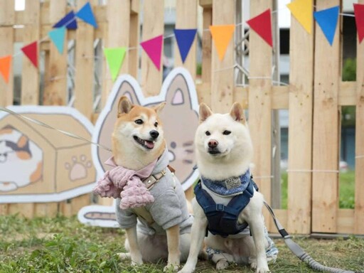 竹市寵物市集5/17-5/18登場 免費百名晶片＋疫苗施打守護毛孩健康