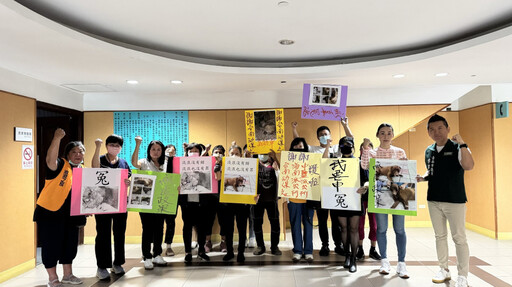 為受虐浪浪申冤 台南市議員曾之婕要求嚴辦