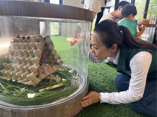 新化虎頭埤環教生態館全新開幕 議員余柷青邀請親子一同來探索蟋蟀世界