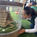 新化虎頭埤環教生態館全新開幕 議員余柷青邀請親子一同來探索蟋蟀世界