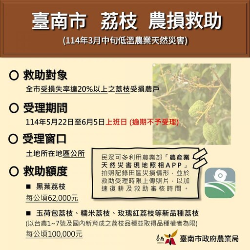 3月中旬低溫導致臺南荔枝著果不良 即日至6/5受理現金救助申請
