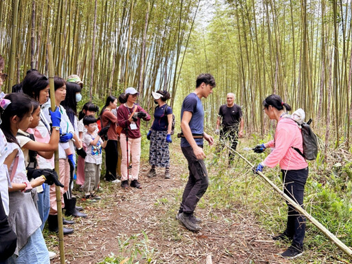 暑假前親子共遊好去處！ 林保署新竹分署東眼山森林活動等你來探索