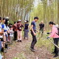 暑假前親子共遊好去處！ 林保署新竹分署東眼山森林活動等你來探索