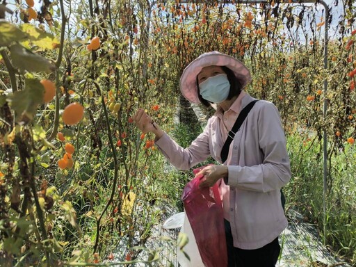 臺南榮家樂活採果行-盛情暖我心！住民長輩樂開懷