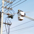 確保假期間供電穩定 台電新竹超前部署預防性維護作業守護民眾用電