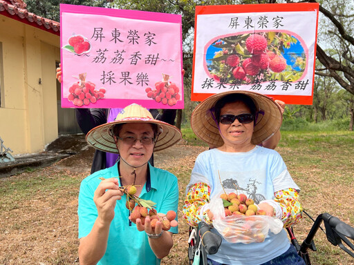 屏東榮家懷舊好滋味-住民樂採荔枝