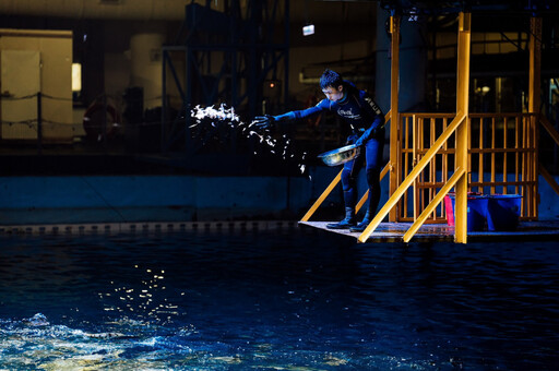 屏東海生館世界海洋日-魚樂無窮登場 首推操作水下ROV 體驗沉浸奇幻藍海