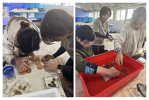 龍華科大攜手海洋大學USR創新珊瑚復育低碳技術 打造海洋永續新篇章