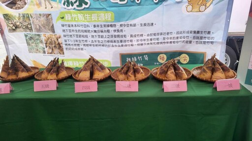 綠竹筍正是時！品嘗請認明產銷履歷
