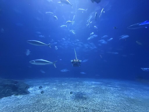 屏東海生館響應世界海洋日掀保育熱潮！新奇體驗魚樂無窮樂翻天