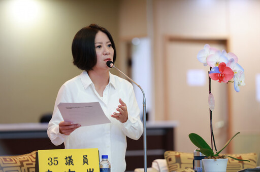 台南該踢出六都?李中岑建議天馬電台,若成迷你版中央公園,網友定支持