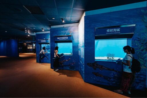 海生館福爾摩鯊之旅登場！鯊魚透明卵鞘魅力爆棚×線上回憶募集掀熱潮