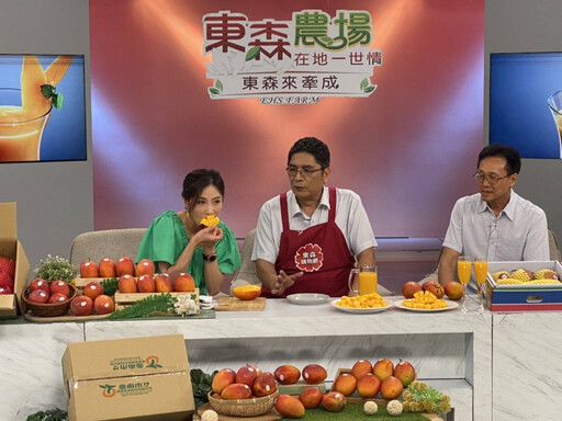 香甜魅力無人可擋！東森農場狂銷臺南愛文芒果3千公斤
