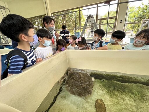 跟著鯊寶夜宿海生館 全新行程來後場揭密水族探訪海龜