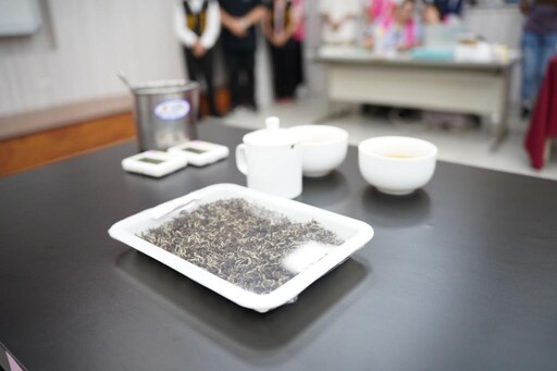 竹縣夏季東方美人茶評鑑成績揭曉 茶農楊世瑩榮獲特等獎