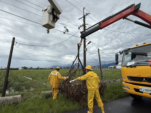 楊柳造成新營轄區停電累積逾2萬戶 台電:積極搶修