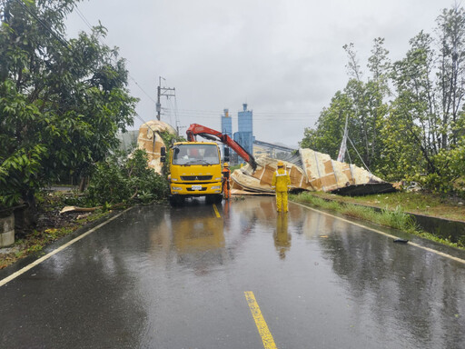 楊柳造成臺南多起停電事故 台電:積極搶修