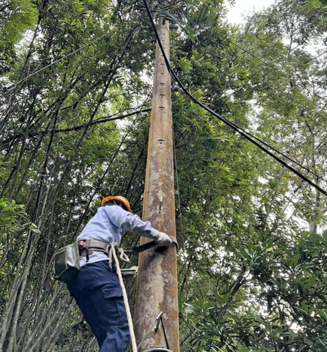 中颱楊柳外圍環流強風肆虐 台電新竹區處緊急搶修全面復電