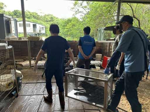 竹縣府查獲犬隻飼養不當案件 飼主涉及違反多項動保法規定依法嚴懲