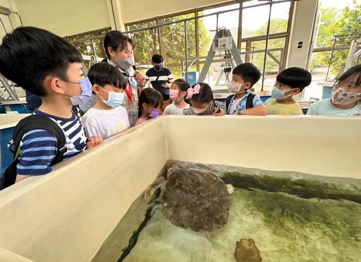 夜宿海生館帶你邂逅陸蟹護幼之旅 透明卵鞘見證鯊魚新生