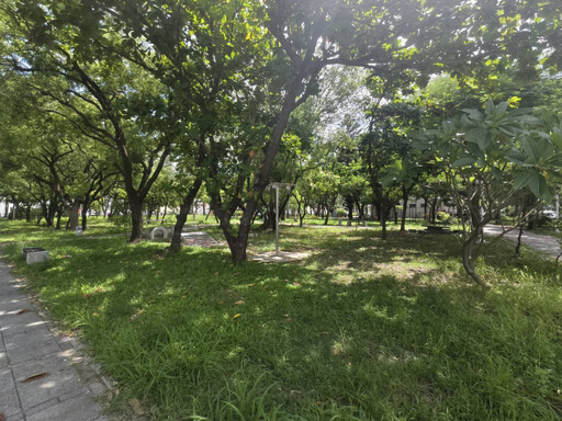 完成清理行道樹公園傾倒樹木 恢復市容