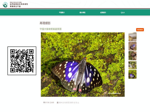 落葉歸根到蝶舞林間 林業署新竹分署攜手新唐科技保育瀕危大紫蛺蝶