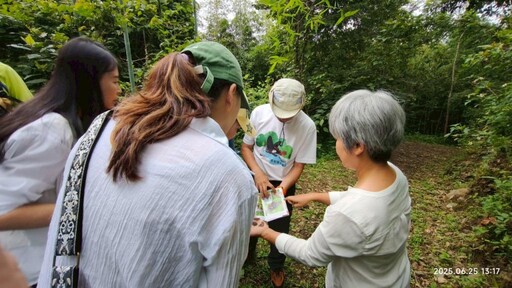 落葉歸根到蝶舞林間 林業署新竹分署攜手新唐科技保育瀕危大紫蛺蝶