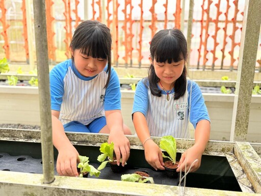 播下希望的種子！長坑國小開學日「雞蛋糕＋種菜苗」寓教於樂啟動新學期！
