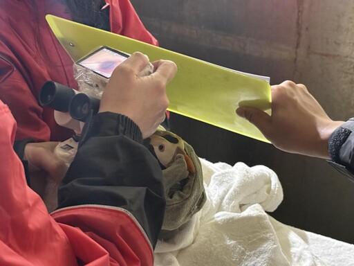 超萌海洋生物們怕看醫生？！探索屏東海生館年度眼睛健檢