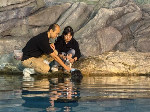 超萌海洋生物們怕看醫生？！探索屏東海生館年度眼睛健檢