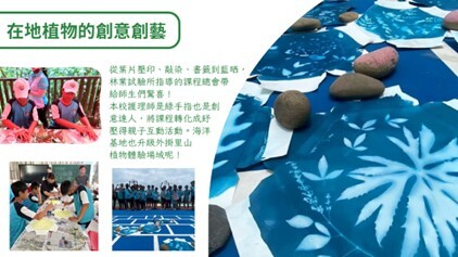 珍稀植物遇見社區創意 苗南跨域協作共譜生態綠網新篇章