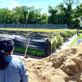 咔噹咔噹到竹東 竹東林業探索展系列活動9/27來去苗圃探險學造林！