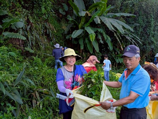 公私攜手防除生態殺手「小花蔓澤蘭」 守護鯉魚潭後池堰生態環境