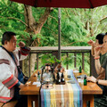 10元門票 走進原民音樂、生態旅遊、藝術共融